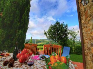 Holiday Home in Val d'Orcia with Pool - Castiglione dʼOrcia - 4
