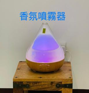 Kiwi Kiwi light travel food - Yuanshan - 7
