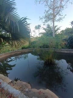 Babazia Home - Pai - 6