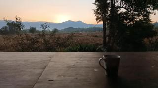Babazia Home - 0