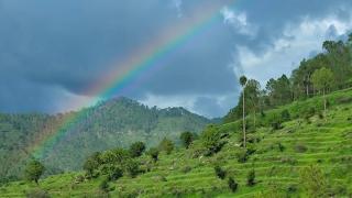 Nisarg Camping Pods - 8