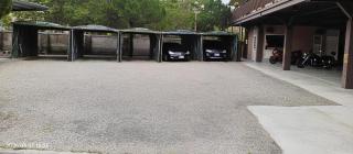 Jinge Guest House 集集金格民宿電動車充電站 - 4