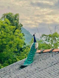 Hena Villas Campsite - 2