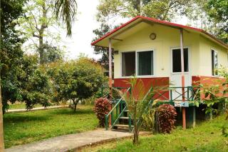 Chitwan Paradise Hotel - 6