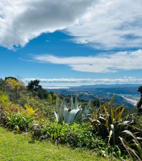 Maison de charme avec vue mer et piscine sur les hauteurs de Nice - Aspremont - 7