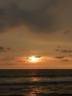 Shoreline Secrets - 3