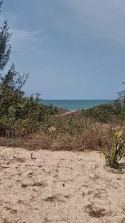 Tanji Bird Eco Resort - 9