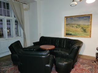 Bright 2BDR sleeps 8 near center M1 - Prague - 9
