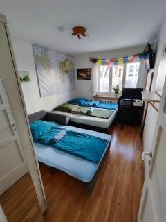 Cozy Central Home with balcony - Basilea - 4