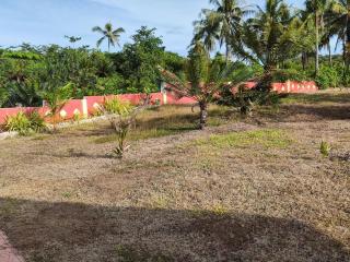 turtles place -Chay's Bungalow - 3