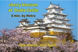 vacation rental SARAKU 茶楽来 - Osaka - 5
