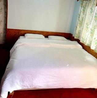 Kamal Homestay - Nainital - 5