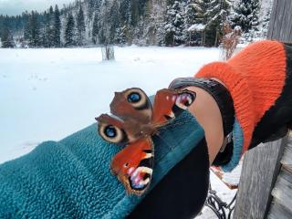 Szałas na szlaku - 4