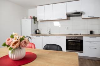 Apartman Luka - Vinkovci - 9