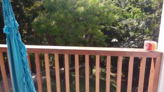 Refúgio da natureza em Morro de São Paulo - 1