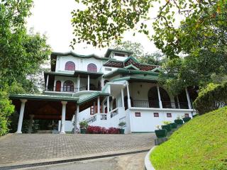 inselor Horses - Kegalle - 3
