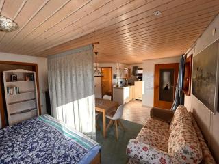 Blick in den Garten - 3