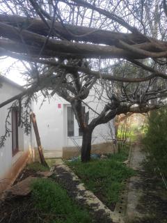Appartamento di nuova costruzione fra alberi e antichi trulli - Martina Franca - 7