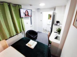 Aspen Studio - Self Contained City Centre Studio - Oxford - 1