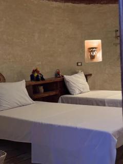 Gazrashek Siwa Hot spring& trips Haven - Siwa - 8