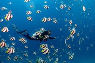 Bandos Maldives - One Way Transfer FREE for stays from 1st May till 30th Sept 2025 for Bookings from 16 Apr 2025 - Atolón de Malé Norte - 4