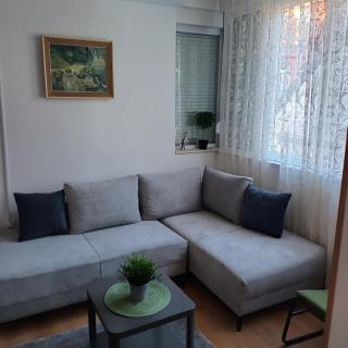 Sarina Garsonjera - Aranđelovac - 3