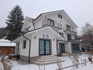 Pensiunea Silver - Păuşa - 4
