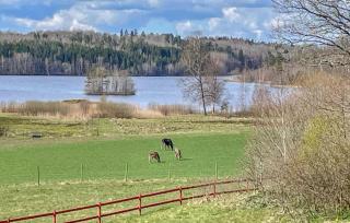 Nice Apartment In Mantorp With Kitchen - Mantorp - 9