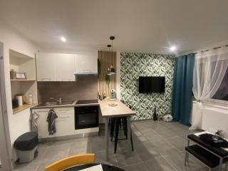 Place du bonheur bel appartement f2 - Sarrebourg - 7