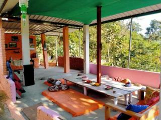 Maunvan - The Silent Forest - Rishīkesh - 7