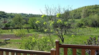 La Maison de Rosyne - Aubas - 4