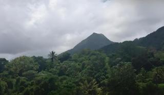 Maison entière - La Florière Verdoyante - Le Morne Rouge - 0