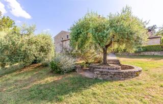 Alabarda - Todi - 5