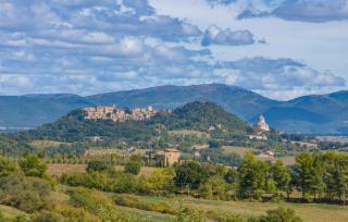 Alabarda - Todi - 4