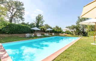 Alabarda - Todi - 1