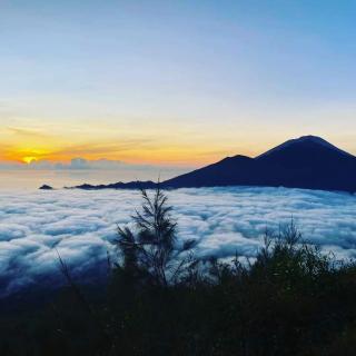 Batur tropis - Kubupenlokan - 0