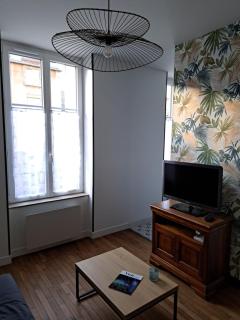 Art Nouveau & Nancy Thermal - Appartement F2 paisible de qualité - 4