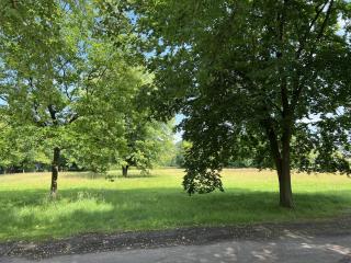 Ahrenshof W 14 - Bad Zwischenahn - 8