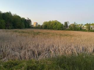 Departamento Isla Teja Wifi 352 Mb Vista Humedal - 4