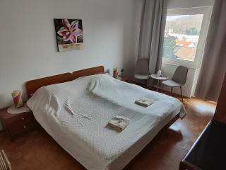 Studio za 2 Marko Rogaška Slatina - Rogaška Slatina - 5