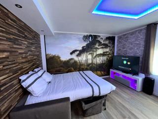Studio with jacuzzi near Paris - Pantin - 2