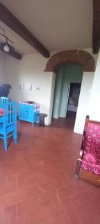 2 girasoli primo piano - 5