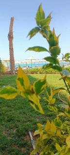 Hurghada Fiesta Resort Studio 323 - Hurghada - 5