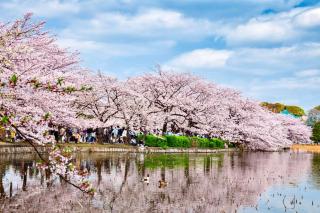 MY House YANESEN Tokyo - 9