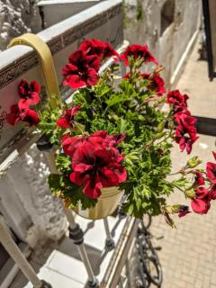 Central Townhouse with Amazing Rooftop Terrace - 3