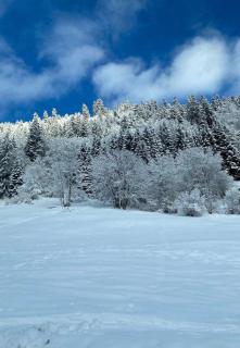 Studio for 2 people with parking - 8