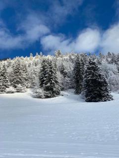 Studio for 2 people with parking - 2