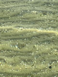 Pé na Areia Beach House - 9