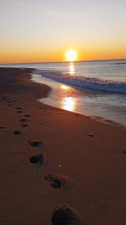 Ad un passo dal mare - Pietra Ligure - 5