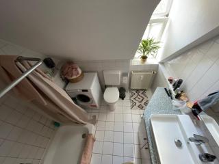 Dreamlike Maisonette Apartment - Friburgo in Brisgovia - 3